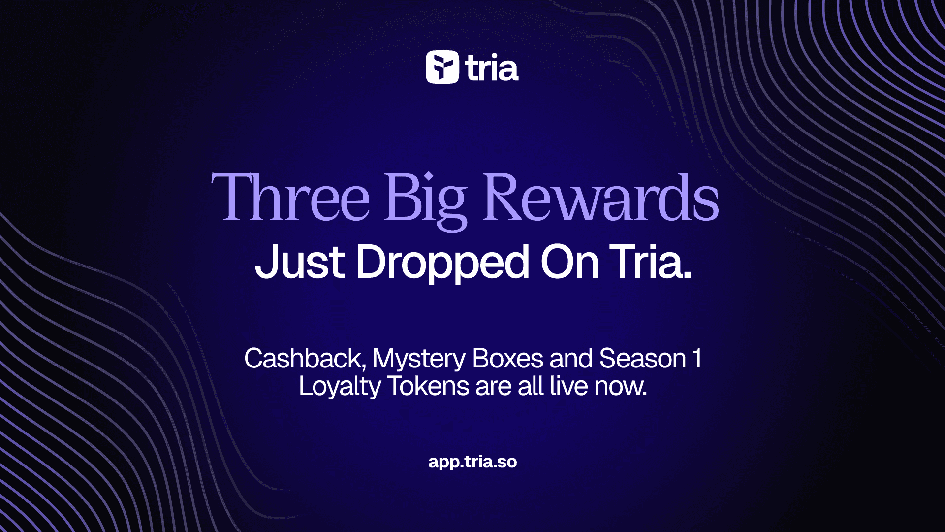 Cashback, Mystery Boxes and Season 1 Loyalty tokens are live now.